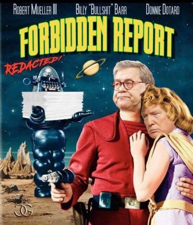 Forbidden report.jpg