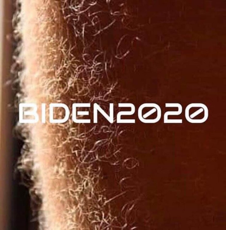 Biden 2020.jpg