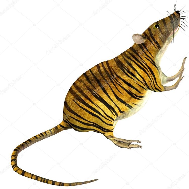 depositphotos_4032020-stock-illustration-surreal-rat-with-tiger-skin.jpg